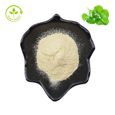 Hydrocotyle Asiatica/Centella Asiatica/pó de Gotu Kola Extract 70% Asiaticoside