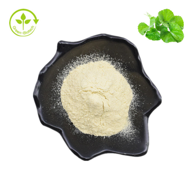 Extrato Asiatica natural cosmético de Gotu Kola Extract 50% Asiaticoside Hydrocotyle da categoria