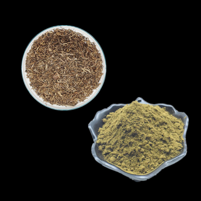O Ajuga que Turkestanica extrai o pó erval de Turkesterone do pó do extrato suplementa 2% 10% 20%