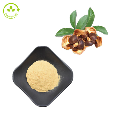 Pó natural dos Saponins do chá de 100% Camellia Seed Extract 95%