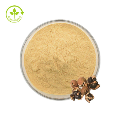 Saponin natural do chá de Camellia Sinensis Seed Extract 98% para o alimento