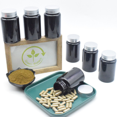 O Ajuga Turkestanica extrai cápsulas de 500mg 10% Turkesterone para o suplemento aos músculos