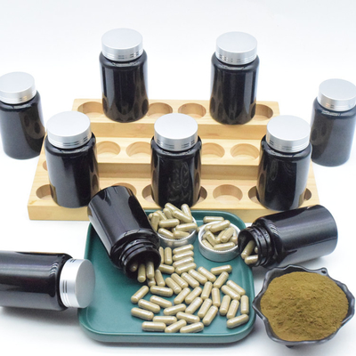 500mg o Ajuga Turkestanica extrai cápsulas para o halterofilismo