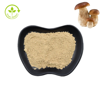 Pó puro natural 99% do boleto de Penny Bun Porcini Mushroom Extract