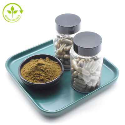 Do pó natural 500mg Turkesterone do extrato de Turkestanica do Ajuga da marca própria cápsulas puras