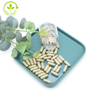 O extrato de Turkestanica do Ajuga do extrato da planta pulveriza cápsulas de 40% 500mg/60caps/Bottle Turkesterone