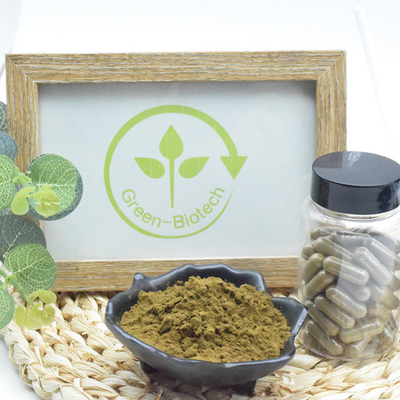 O Ajuga Turkesterone da qualidade superior pulveriza 10 que Turkesterone extrai o extrato da planta de Turkesterone