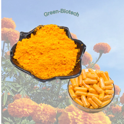 O Lutein super do extrato do cravo-de-defunto dos fabricantes do extrato do Lutein pulveriza a HPLC 5%-20% para a saúde do olho