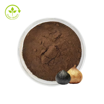 Pó preto do alho do 20:1 preto natural super do extrato do alho da qualidade