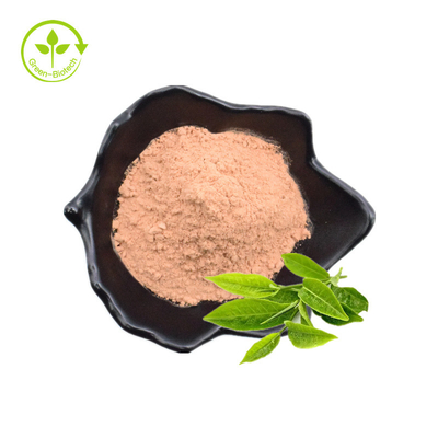 Polyphenol do chá, EGCG, pó do extrato do chá verde