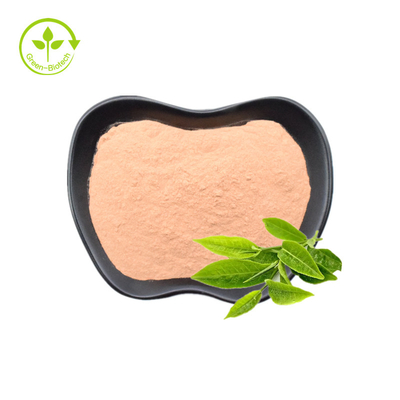 O chá verde extrai o pó 30% natural de 20% L-Theanine