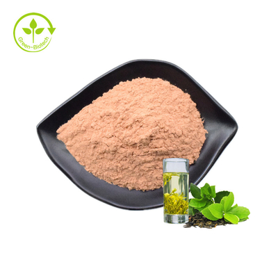Extrato do chá verde do pó do extrato do chá de verde do Catechin do extrato 80% do chá de verde da fonte da fábrica