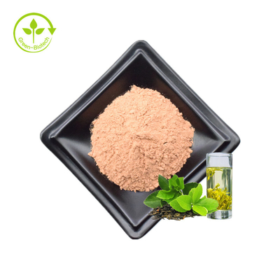 Os fabricantes do Polyphenol do chá fornecem o Polyphenol de venda quente do extrato do chá verde pulverizam o Polyphenol do chá de 90%