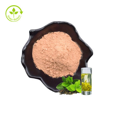 Da folha por atacado da planta da fábrica as folhas de chá verdes naturais 60% de alta qualidade saudáveis extraem o pó imediato