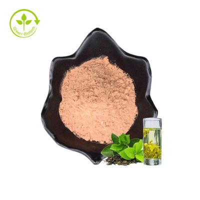 Do alimento natural imediato do pó 20%Polyphenols do chá verde das amostras grátis do ISO extrato orgânico solúvel em água do chá verde
