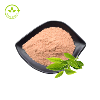 O chá verde puro natural orgânico da marca própria extrai o pó de Matcha