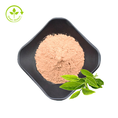Pó maioria por atacado dos Polyphenols 50% Brown do extrato do chá verde do pó do extrato do chá verde