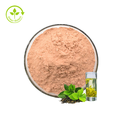 Extrato com os Polyphenols do chá de 98%, L-Theanine do chá verde, EGCG, Catechins