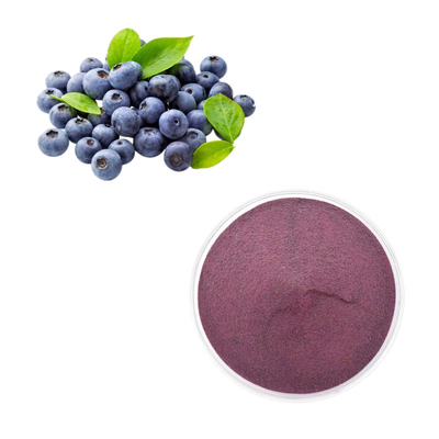 Os produtos dos cuidados médicos frutificam pó do mirtilo do volume do extrato