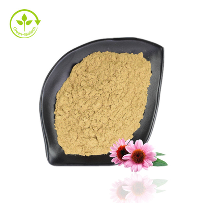 Venda imperdível Echinacea Purpurea Extract 4%-6% Polifenol 2%-4% Natural Echinacea Powder