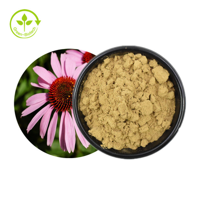 Venda imperdível Extrato de Echinacea Purpurea Ervas Extrato de Echinacea
