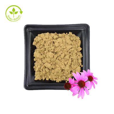 Fornecimento a granel Extrato de Echinacea Purpurea 4% Polifenol 2% Ácido Chicórico