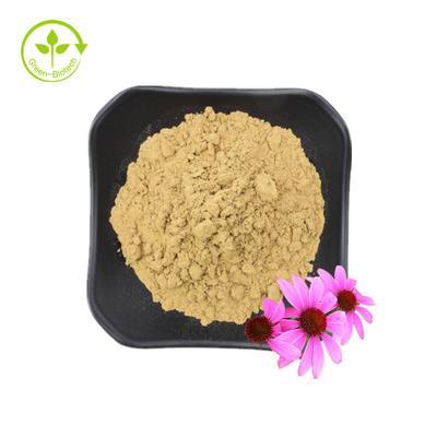 Extrato de raiz de Echinacea Purpurea de alta qualidade 10% polifenóis Extrato de Echinacea Purpurea Extrato de Echinacea