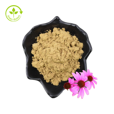 Puro Ácido Chicórico 4% Echinacea Purpurea Extrato de Flor em Pó Extrato de Echinacea Purpurea