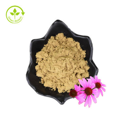 Sementes de flores em pó seco de polifenol orgânico Extrato de Echinacea Purpurea
