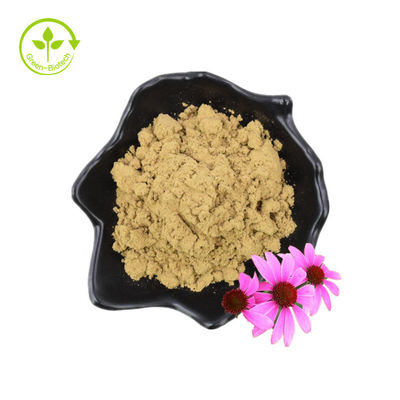 Extrato Natural de Echinacea em Pó Extrato de Echinacea Purpurea