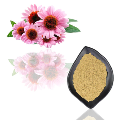 Polyphenol orgânico natural 2% - 4% Cichoric 2% - 5% ácidos do extrato de Purpurea do Echinacea