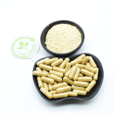 Erva orgânica natural cultivada Extracto de ginseng integral Raiz de ginseng Panax