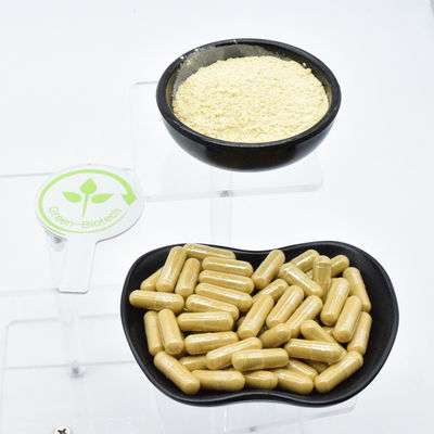 Extracto de raiz de ginseng branco natural e silvestre