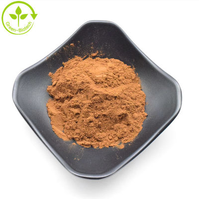 Extracto de crisântemo de alta qualidade 5% de flavona Extracto de flor de crisântemo