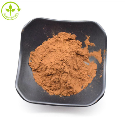 Fornecer extrato de crisântemo castanho de alta qualidade 5% Flavona em pó