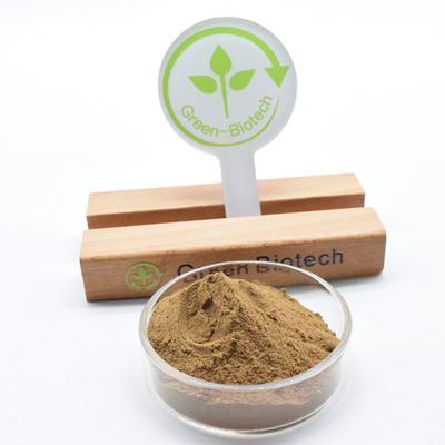 Fornecimento a retalho Dendrobium Extract Powder 10:1 Com Alta Qualidade