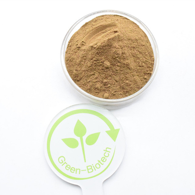 Grau alimentício 100% natural 10:1 5:1 20:1 Dendrobium Extract Powder