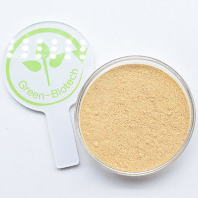 Serviço OEM Cyanotis Arachnoidea Extract Ecdysterone Capsulas Ecdysterone