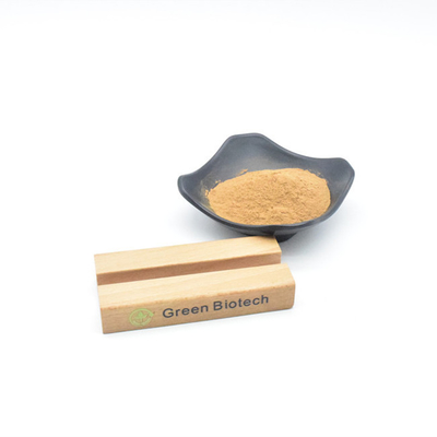 Extractos de plantas naturais por atacado Melhor preço Maca extracto em pó para tratamento do cabelo