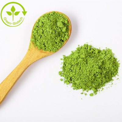 Forneça pó de chá verde de alta qualidade Matcha bom sabor com o melhor preço