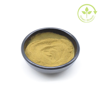 Fornecer extrato de planta natural de ashwagandha em pó 5% Withanolides