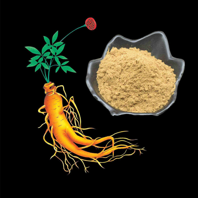 80 Mesh Ginseng Root Extract Powder 1%-80% extratos naturais da planta