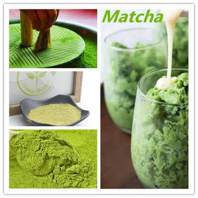 A planta natural do pó orgânico cerimonial de Matcha extrai o anti oxidante