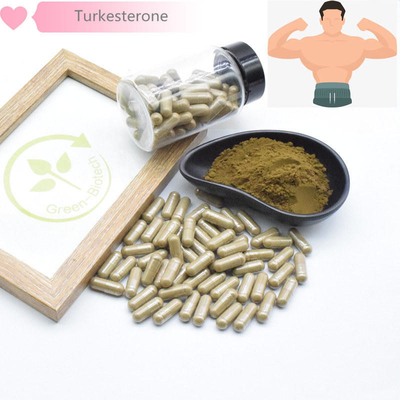 extratos naturais da planta de 500mg Turkestanica