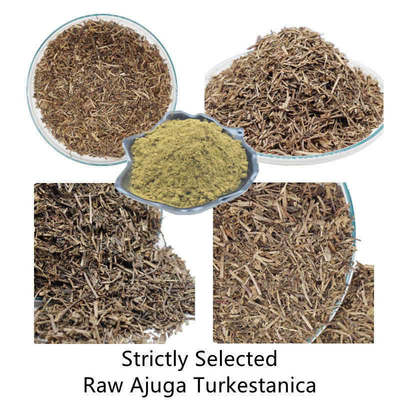 extratos naturais da planta de 500mg Turkestanica
