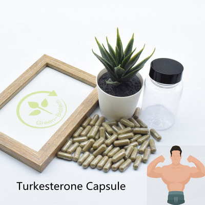 O Ajuga Turkestanica de 2% 10% suplementa extratos naturais da planta de Ecdysteroid