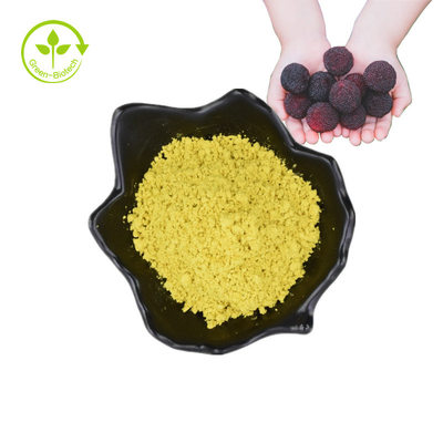 Extrato de casca de planta de frutas de louro em pó miricetina 98%