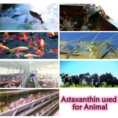 CAS 7542-45-2 1% - 10% Astaxantina em pó para cuidados saudáveis