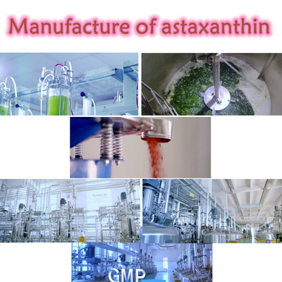 CAS 7542-45-2 1% - 10% Astaxantina em pó para cuidados saudáveis