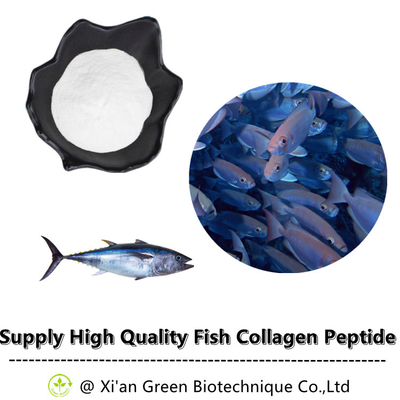 Peptide puro de venda quente do colagênio dos peixes de mar profundo do pó do Peptide do colagênio dos peixes